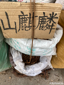 偏冷奇中草药材 山麒麟 红药 麒麟竭 玉麒麟 泡酒跌打药材