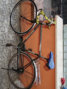 90年代老阿米尼钢架公路车!深圳中华自行车厂!大名一个厂出品