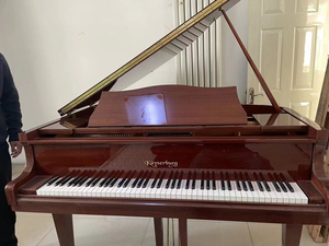 恺撒堡钢琴gh148b,珠江恺撒堡三角钢琴,恺撒堡彩色钢琴