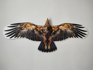 远古盘鹰风筝,一体大条盘鹰,115cm左右,翅膀1056d杜