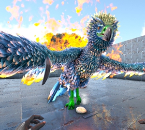 方舟生存进化 ark 官服 pve 多种凤凰 颜色凤凰 焦土