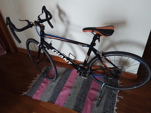 捷安特风标2200公路跑车一辆,m号,2牙盘,7肺片,14速