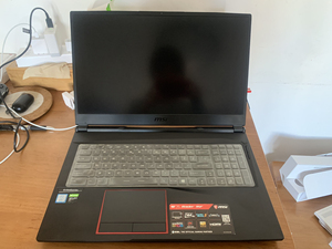 愿得一人心920612淘宝微星ge75   20700人付款5388.