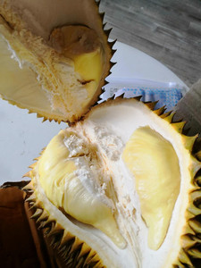 大象榴莲大象牌