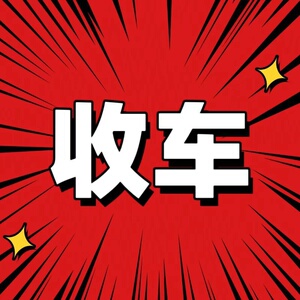 铃木dl250摩托车二手