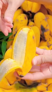 【自家种的】广西正宗苹果蕉当季新鲜水果自然熟香蕉粉蕉非小米蕉