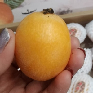 【四川长丸枇杷】纯甜多汁
