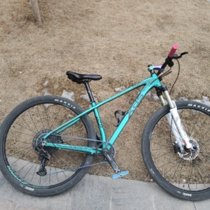 喜德盛侠客800pro,久裕花鼓,sx12速,速联的单盘,马