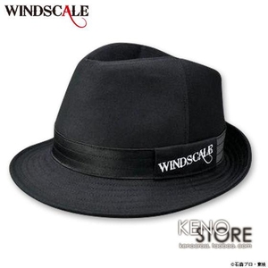 求在日本的海淘大佬帮忙淘一个假面骑士w翔太郎的帽子,具体可以