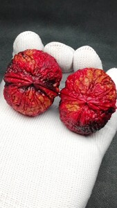 云南铁核桃 文玩核桃 七彩蟒纹绣球57克多