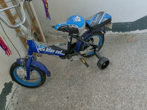 健力蓝猫牌儿童自行车，适合3-9岁儿童，车身合金材质，原版原