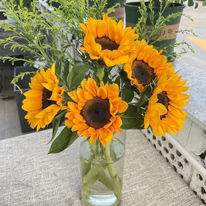 秒杀价向日葵5朵 (一束情人草)鲜花组合家用办公室送人插花
