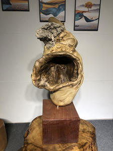 石来运转天然树根抱石手工制作人间万象塑造人生百态根雕工艺品摆