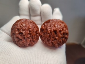 五年龙洞峪狮子头文玩核桃