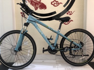 捷安特liv cate山地自行车,图片实拍,原装正品,车架x