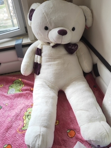 一米八白色大熊纯新无破损,没有污渍,因家里放不下求带走,朝阳