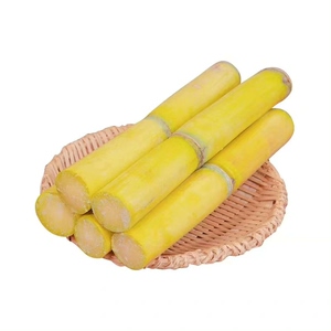 云南黄金青皮甘蔗现砍广西新鲜绿色中段整箱手撕甜杆竹蔗应季水果