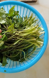 野菜鸭脚板野生蔬菜好吃美味美食野味新鲜5斤 70. 80.