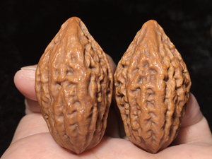 长款小秋子野生文玩核桃手捻北京延庆自家产