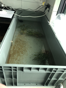 养鱼周转箱一米二长五十宽养龟整理箱塑料箱