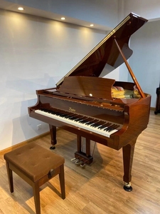 三角钢琴,斯坦威其下品牌,刚到货,超级新,一尘不染,6sophiamyy4