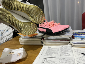 阿迪达斯钉鞋范尼凯克