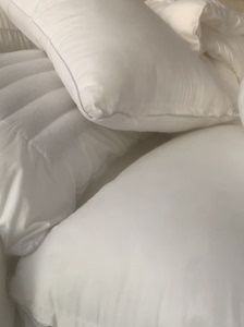 星级酒店荞麦枕头单面荞麦壳枕头芯子两用二合一酒店荞麦护颈枕芯