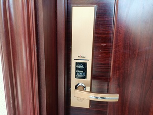 碧桂园皇鼎指纹密码锁,新房拆卸下来,带全套钥匙,卡片,非偏远