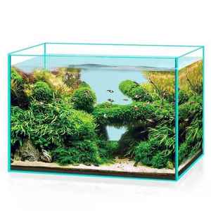 鱼缸超白裸缸超白鱼缸浮法玻璃鱼缸白晶水陆缸成品玻璃缸水草缸特