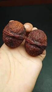 云南铁核桃 七彩鱼子纹绣球40尺