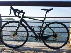 美利达斯特拉碟刹king 绝版黑绿配色,禧玛诺4700套件