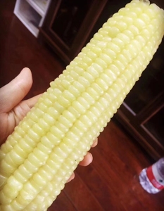 三江海玉米万糯特级,1 级都有货,苏州甪直车坊澄湖水八仙家庭