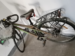 美利达野狼wolf2 通勤自行车,土豪金