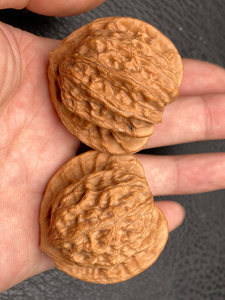 44老款崔凯公子帽文玩核桃6