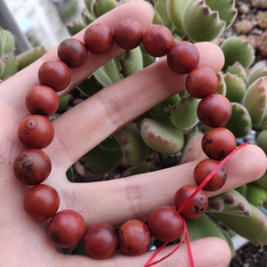 南红玛瑙铁皮包浆手串卡10 退坑回血,原产地购入保真,图片无