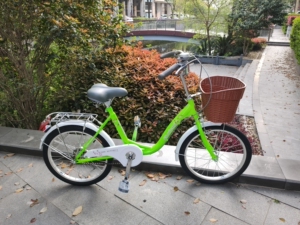 凤凰三轴自行车