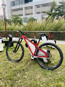 山地车整车大木耳am软尾硬尾越野29寸前叉dartmoor闪