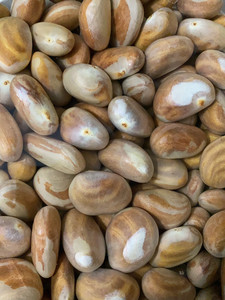 菠萝蜜种子 菠萝蜜核 果仁籽2斤包邮 菠萝蜜籽