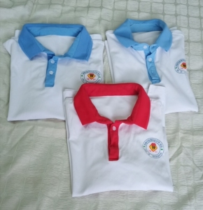 树德实验中学(西区)校服,女生,165,3件30元,转手给需