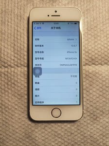 苹果5s，国行，16G内存，移动4G版本，外观有磕碰掉漆，屏