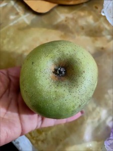 五斤正宗老数印度青苹果纯甜无酸丑苹果老品种新鲜印冬冰糖心