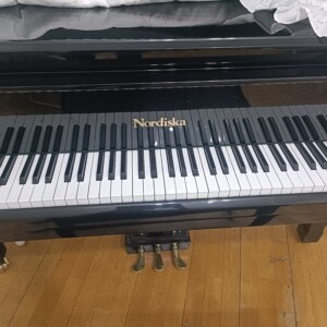诺迪斯卡钢琴