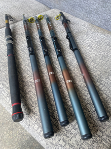 正品迪佳海竿潜龙2.7米一只 3.6米一只.3.0米2只 鱼