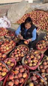 【果园直发】新疆阿克苏冰糖心苹果新鲜当季红富士丑苹果整箱五斤