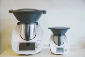 000人付款淘宝小美料理机,vorwerk/福维克 tm5,朋友