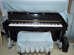 英国威廉森堡钢琴,2020年11月份入手,几乎全新,现在1万