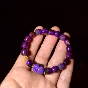 舒俱来貔貅手串