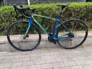 美利达斯特拉1000