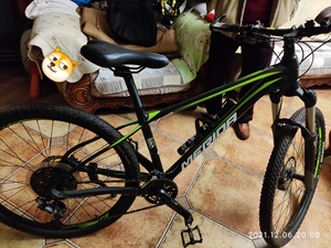 2020款美利达大七980,big seven,车架15寸