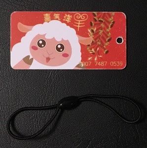 南京公交卡,可以坐地铁,就一张.送全新挂绳.品好.小卡.仅南